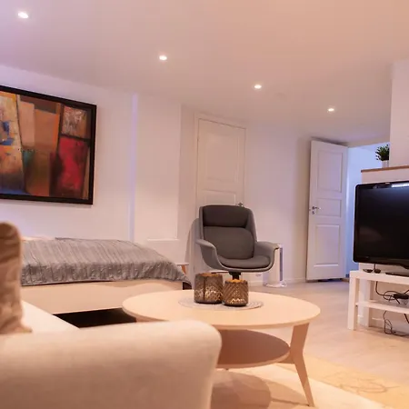 Koselig Studioleilighet I Sandnes Sentrum Apartment *