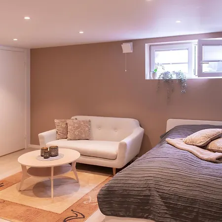 Studioleilighet I Sentrum 桑内斯